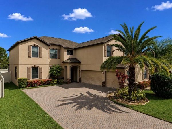 9924 SMARTY JONES DRIVE , RUSKIN, FL 33573