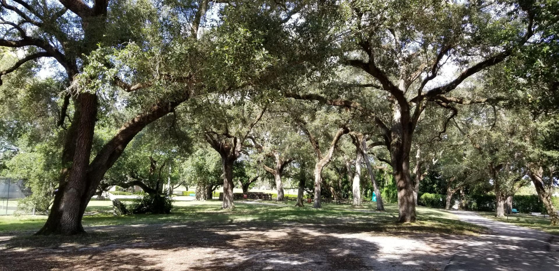 9441 Evergreen Place, Unit 105, Davie, FL 33324 Photo