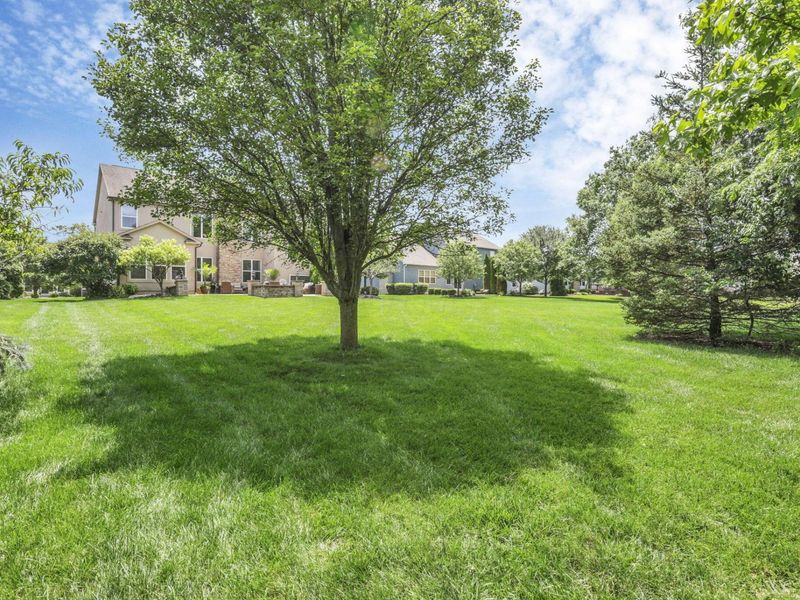 3334 Winding Woods Drive, Powell, OH 43065 Photo 66