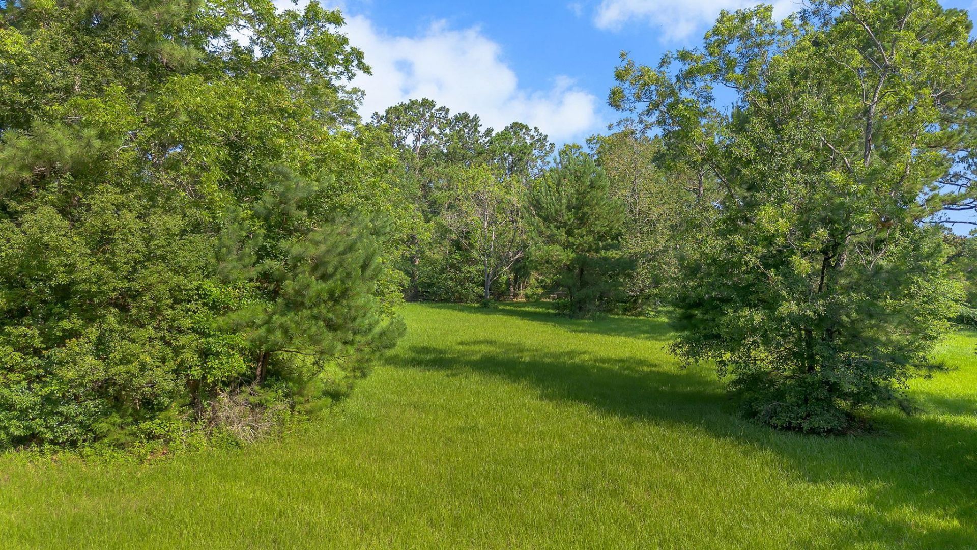 790 Langston Lane, Havana, FL 32333 Photo