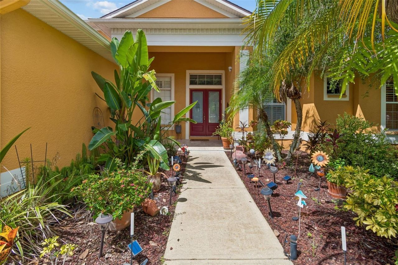 5303 Clouds Peak Drive, Lutz, FL 33558 Photo