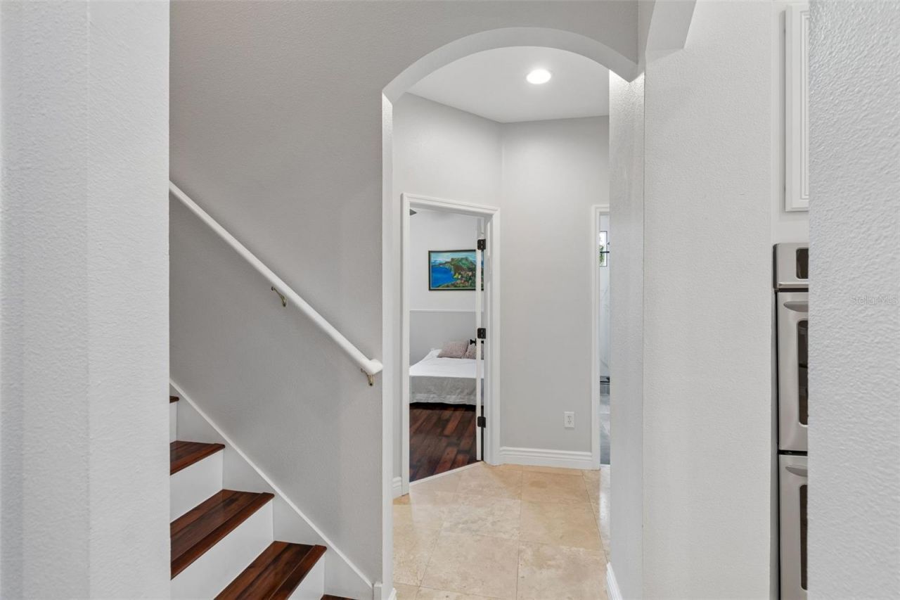 5303 Clouds Peak Drive, Lutz, FL 33558 Photo