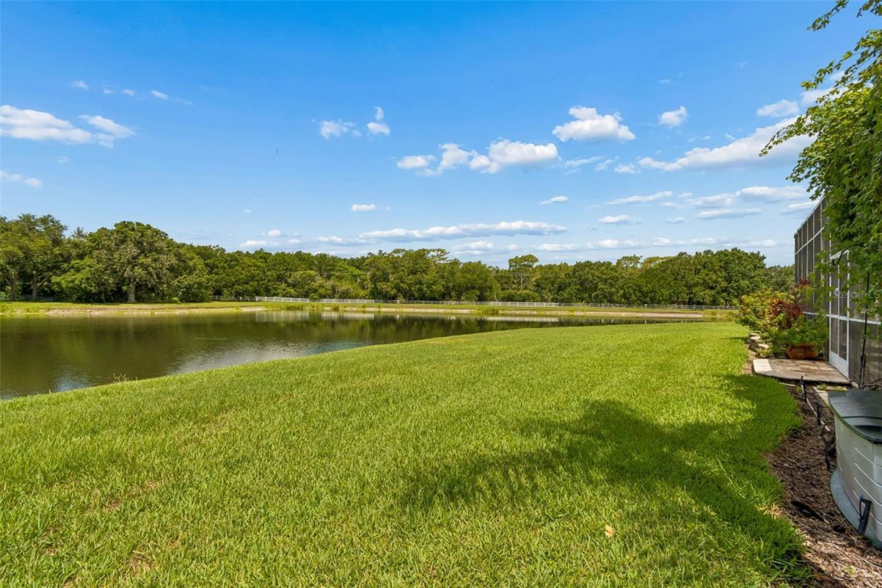 5303 Clouds Peak Drive, Lutz, FL 33558 Photo
