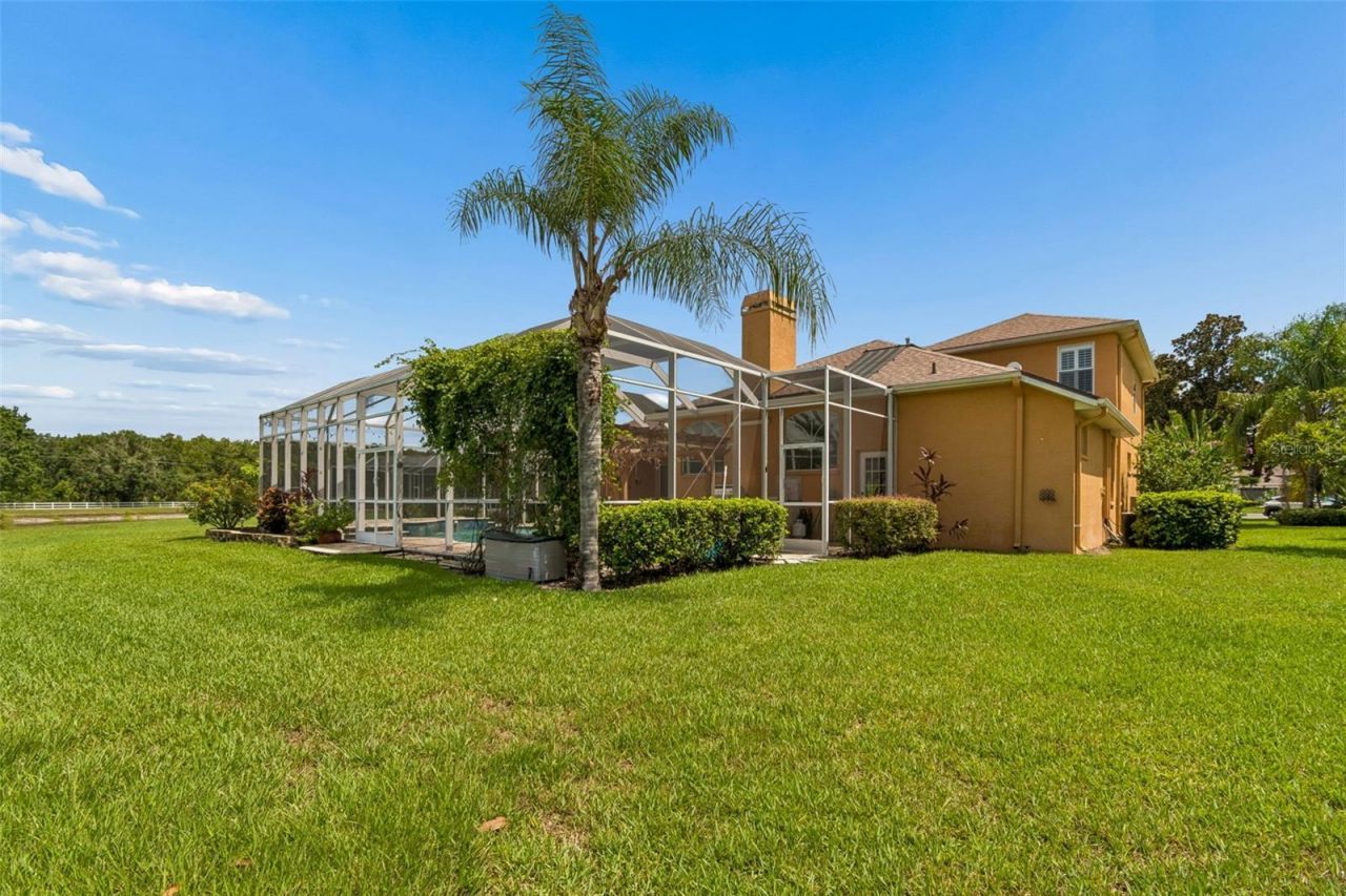 5303 Clouds Peak Drive, Lutz, FL 33558 Photo