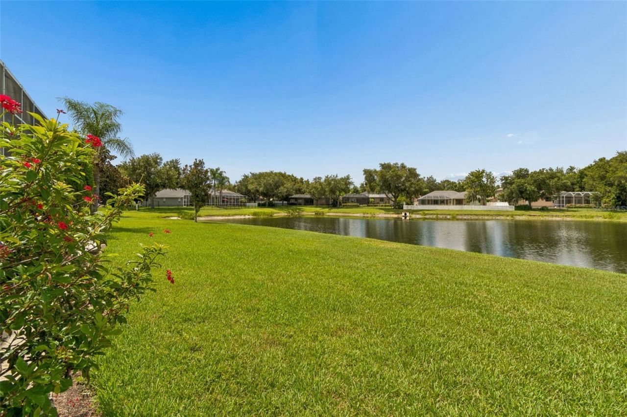 5303 Clouds Peak Drive, Lutz, FL 33558 Photo