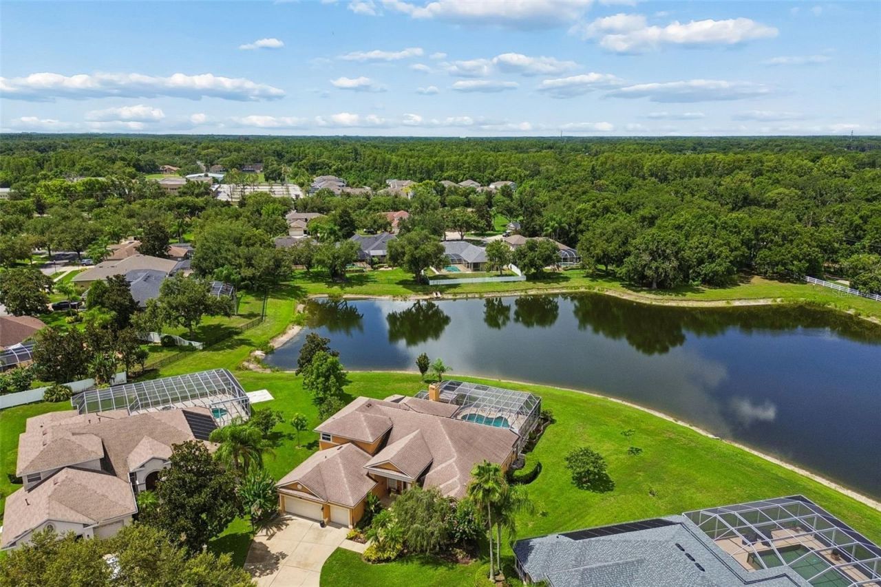5303 Clouds Peak Drive, Lutz, FL 33558 Photo