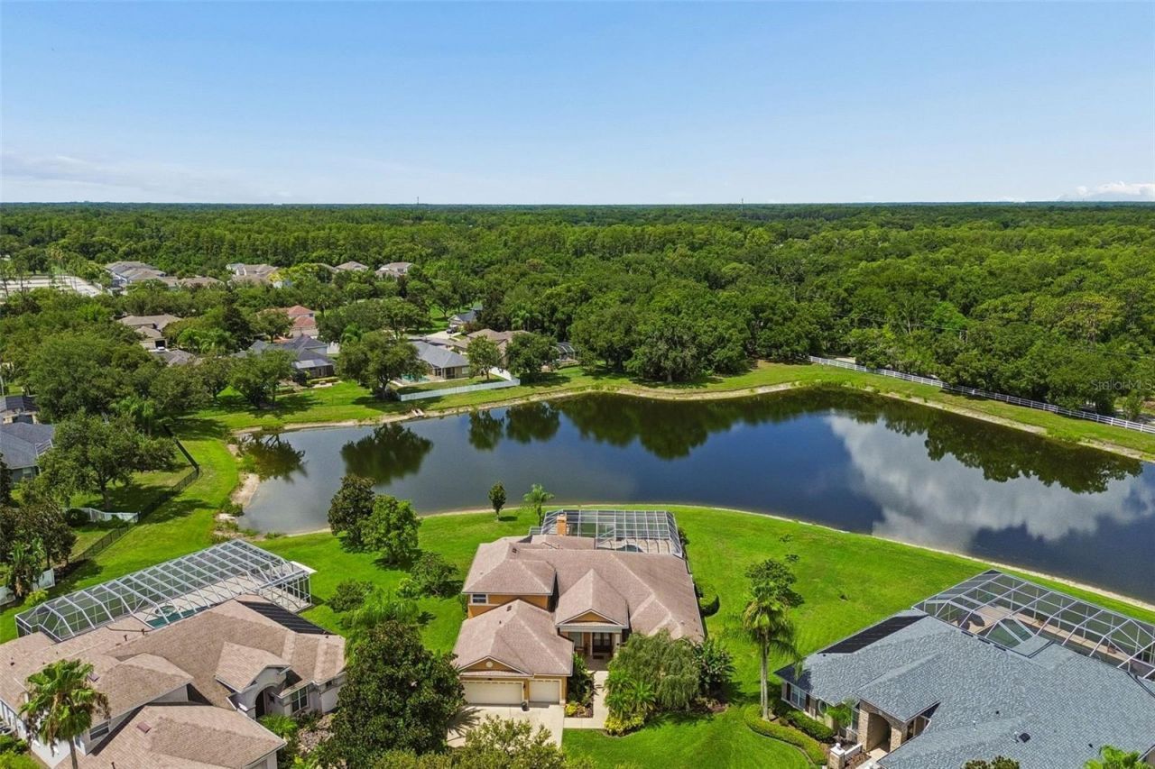 5303 Clouds Peak Drive, Lutz, FL 33558 Photo