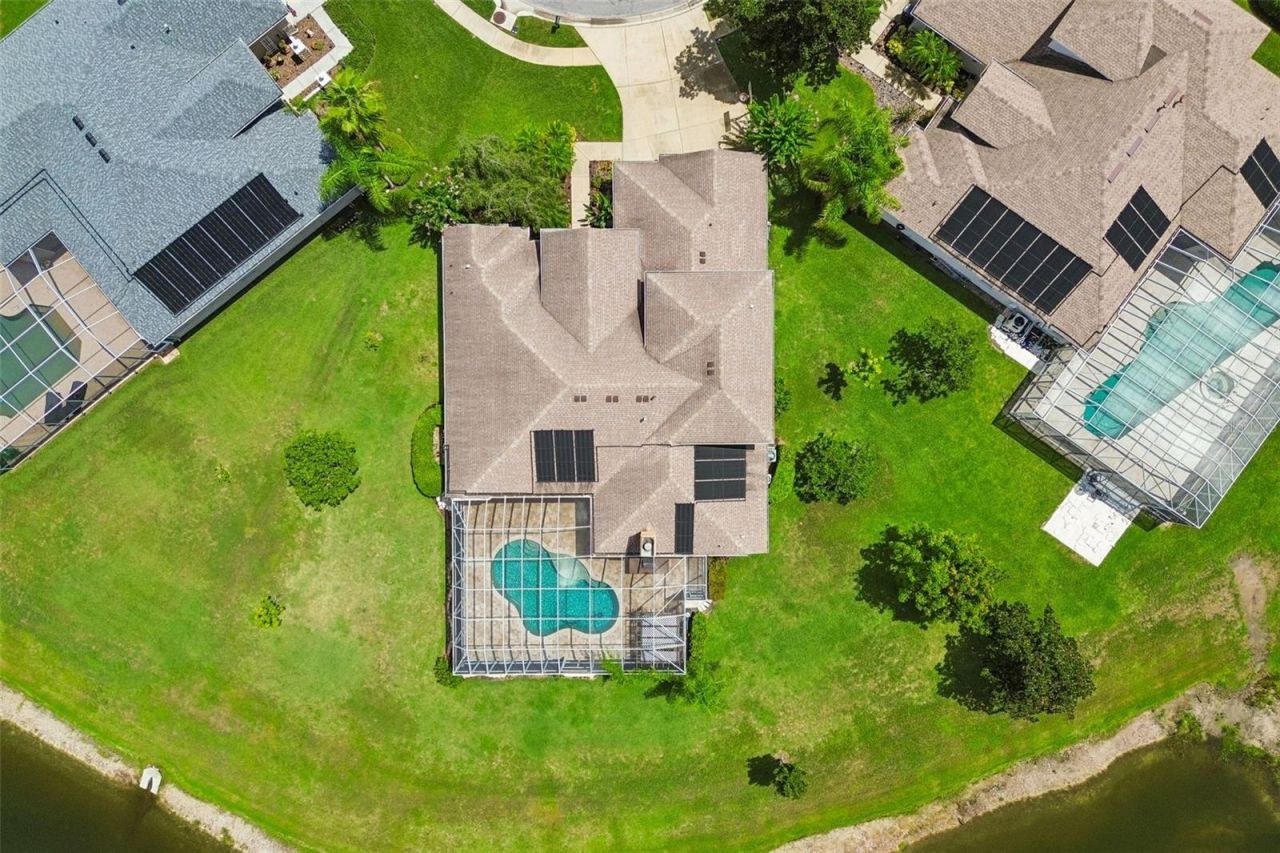 5303 Clouds Peak Drive, Lutz, FL 33558 Photo