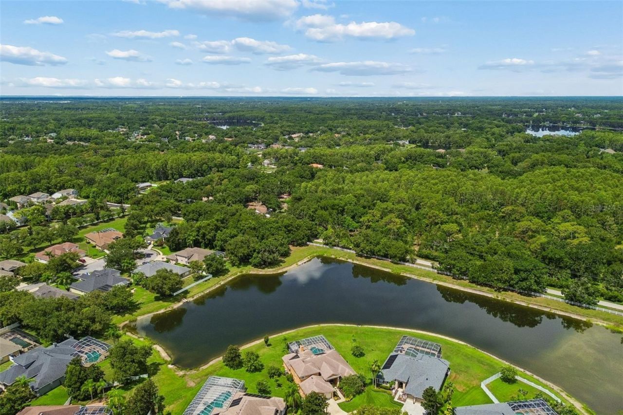 5303 Clouds Peak Drive, Lutz, FL 33558 Photo