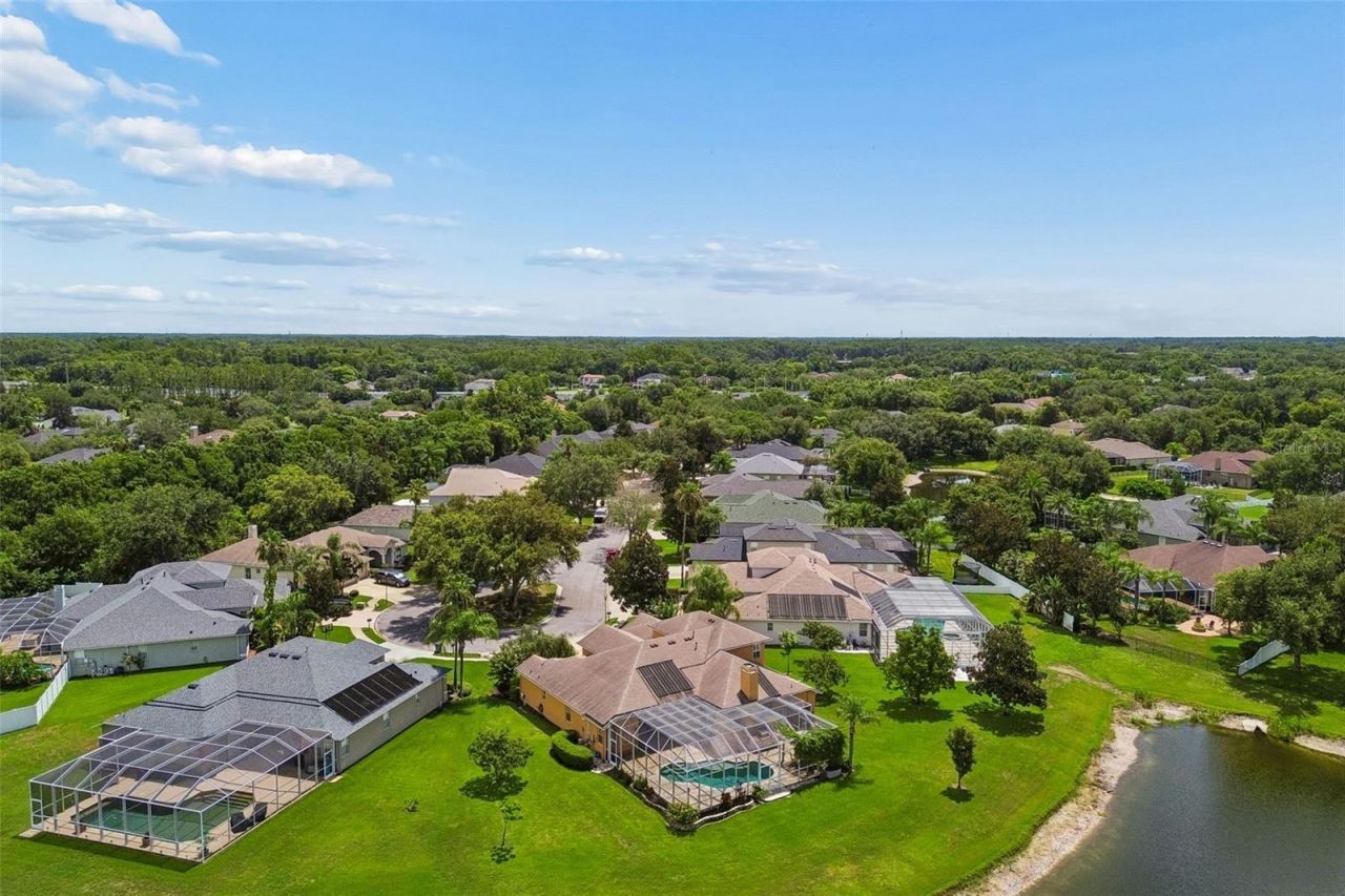 5303 Clouds Peak Drive, Lutz, FL 33558 Photo