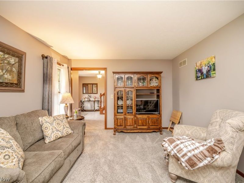 4190 Timberbrook Drive, Canfield, OH 44406 Photo 11