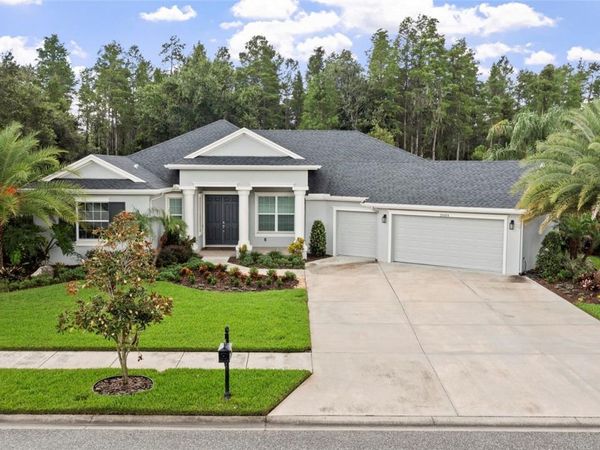 20454 LACE CASCADE RD, LAND O LAKES, FL 34637