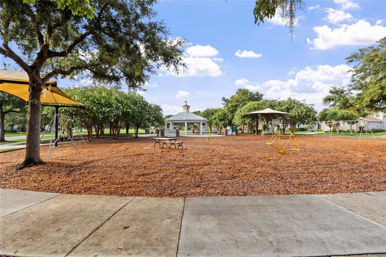 20454 Lace Cascade Rd , Land O Lakes, FL 34637 Photo