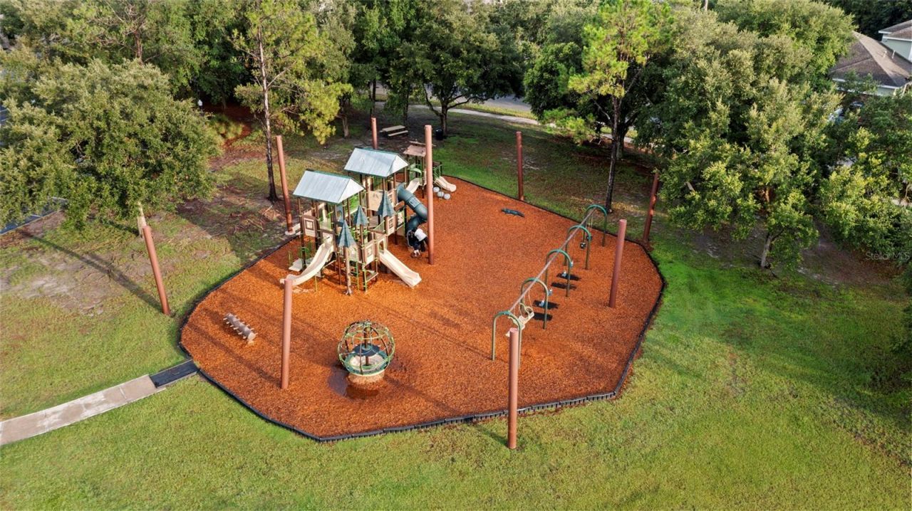 20454 Lace Cascade Rd , Land O Lakes, FL 34637 Photo