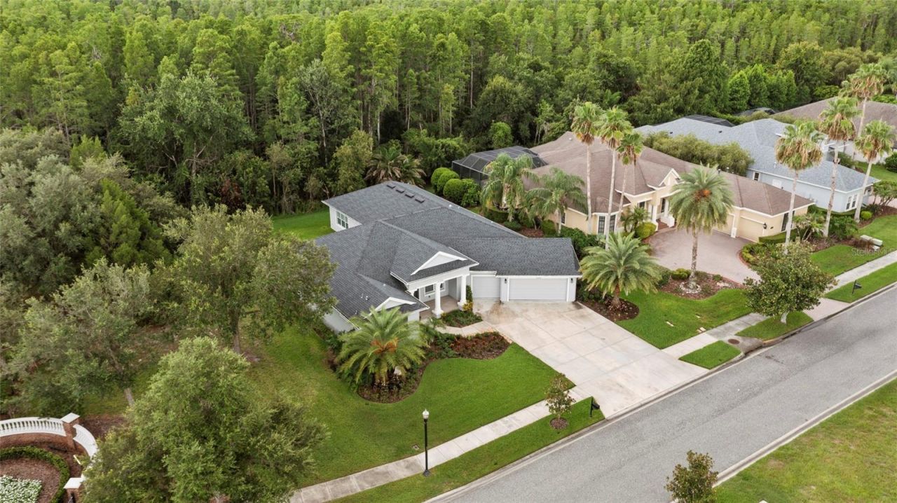 20454 Lace Cascade Rd , Land O Lakes, FL 34637 Photo