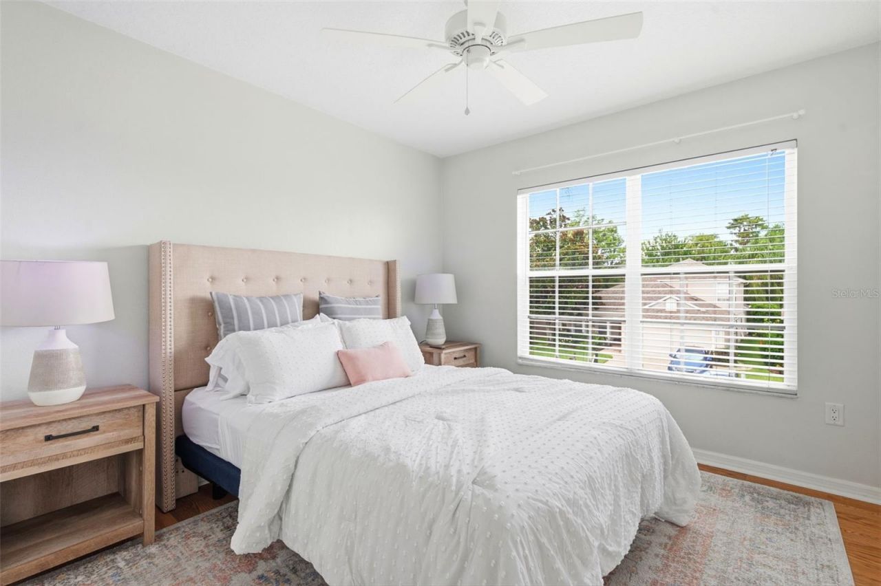 10441 Tecoma Drive, Trinity, FL 34655 Photo