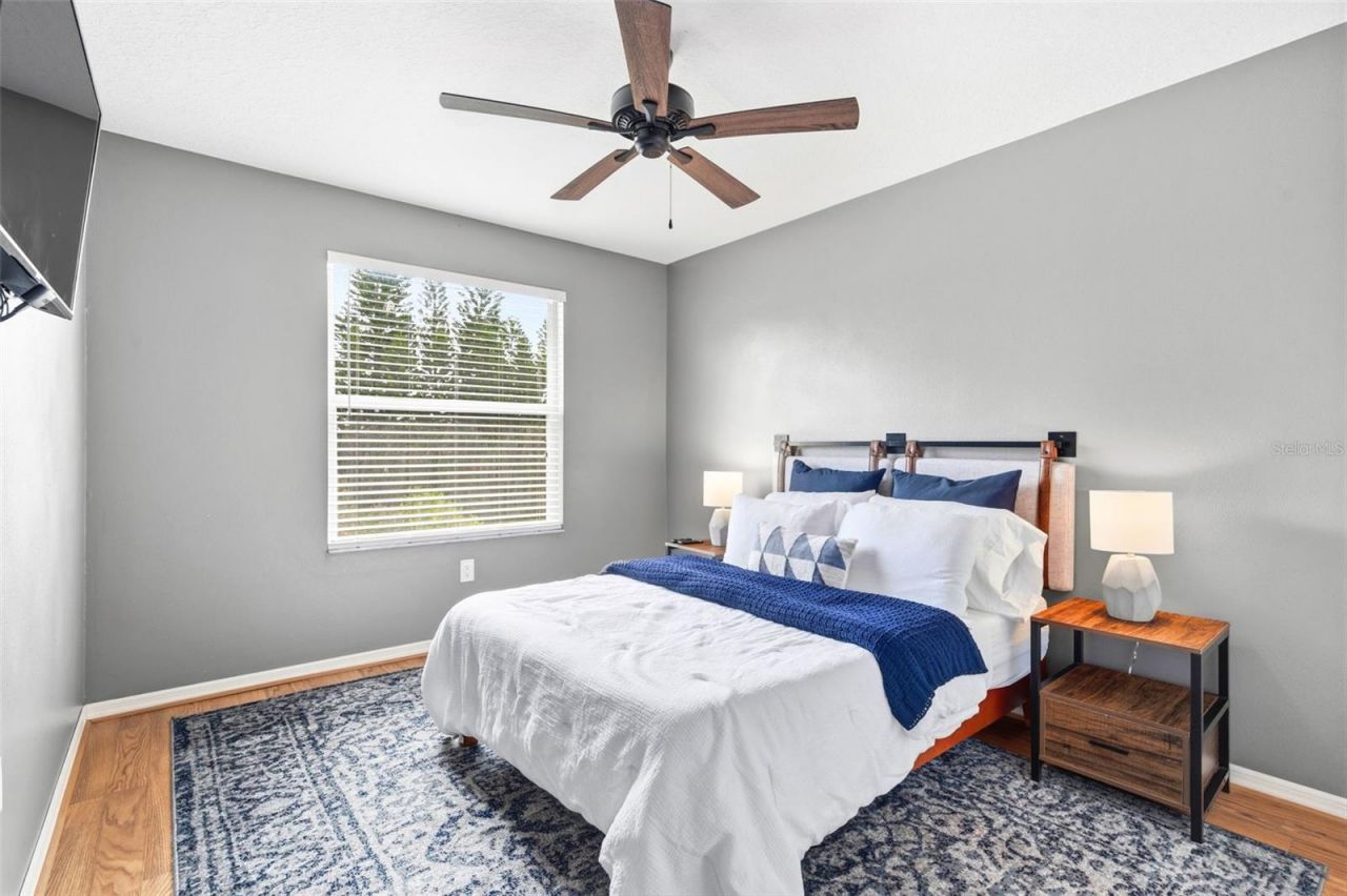 10441 Tecoma Drive, Trinity, FL 34655 Photo