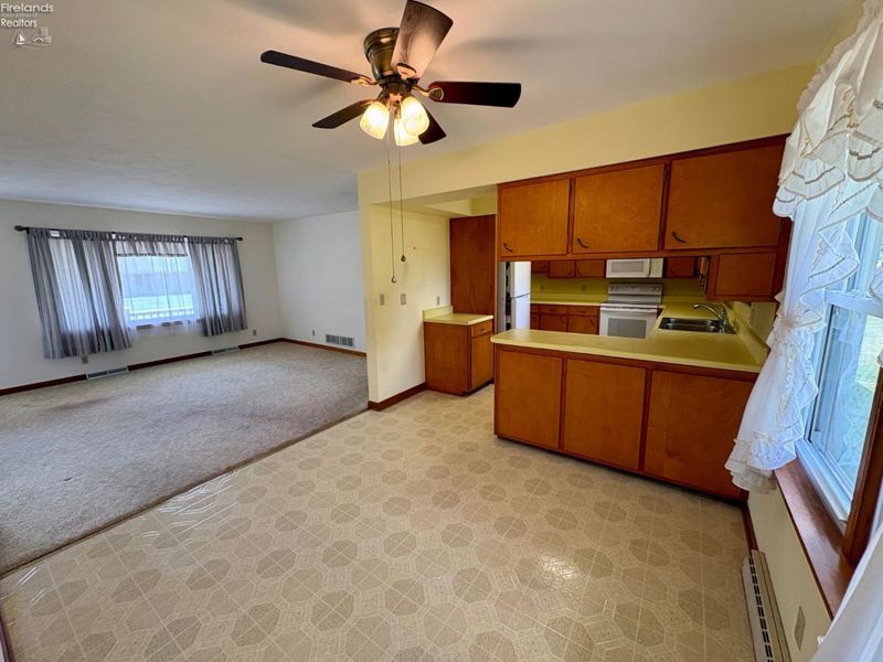 517 Buckeye Drive, Attica, OH 44807 Photo 7