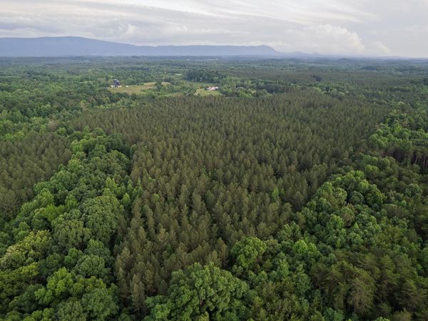 0 County Road 966 , Calhoun, TN 37309