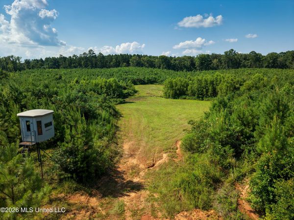 Lower Liberty Gloster Road, Liberty, MS 39645
