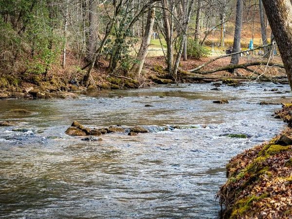 5.15 AC Spence Road, Blue Ridge, GA 30513