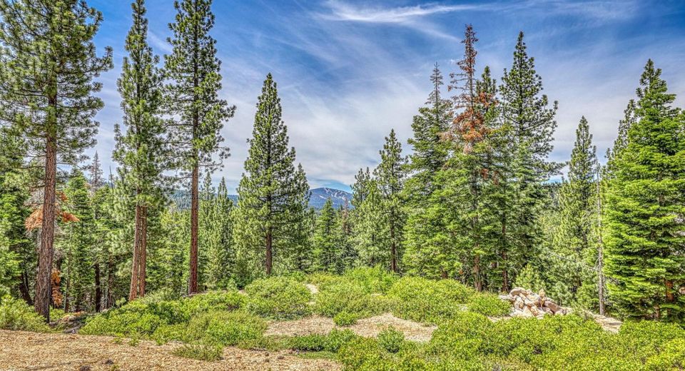 16145 Martis Peak Road , Truckee, CA 96161 Photo