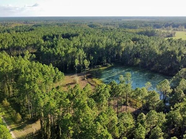 00 Waters Pond Rd, Chiefland, FL 32626