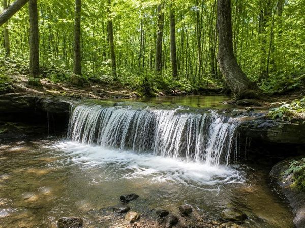 58 Acres Naples Lane, Arab, AL 35016
