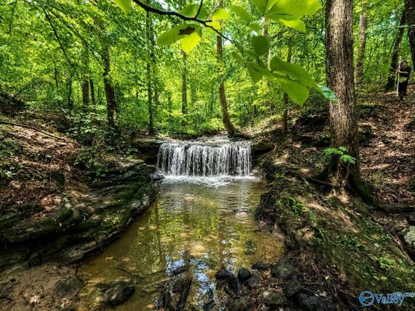 58.5 Acres V/L Naples Lane, Arab, AL 35016