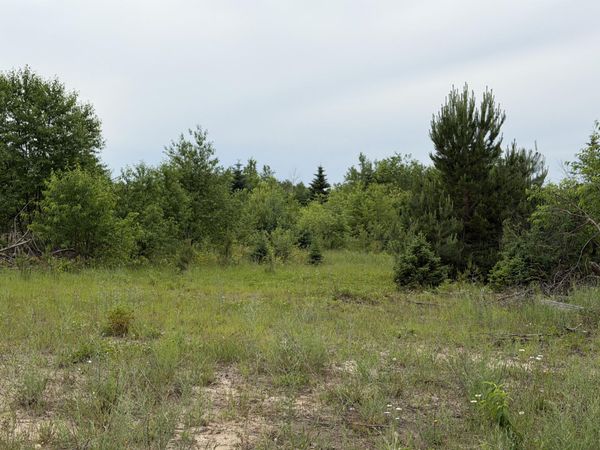 12822 M-123, Newberry, MI 49868