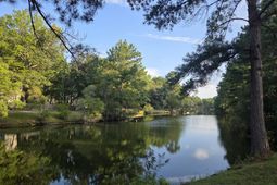 3491 Toomer Kiln Circle photo 4