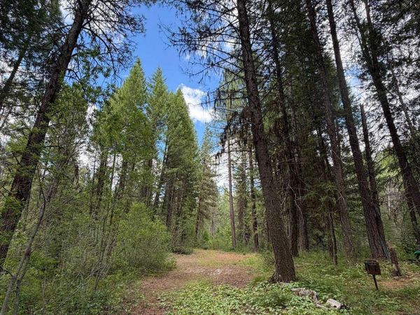 41 Blue Spruce Lane, Cascade, ID 83611