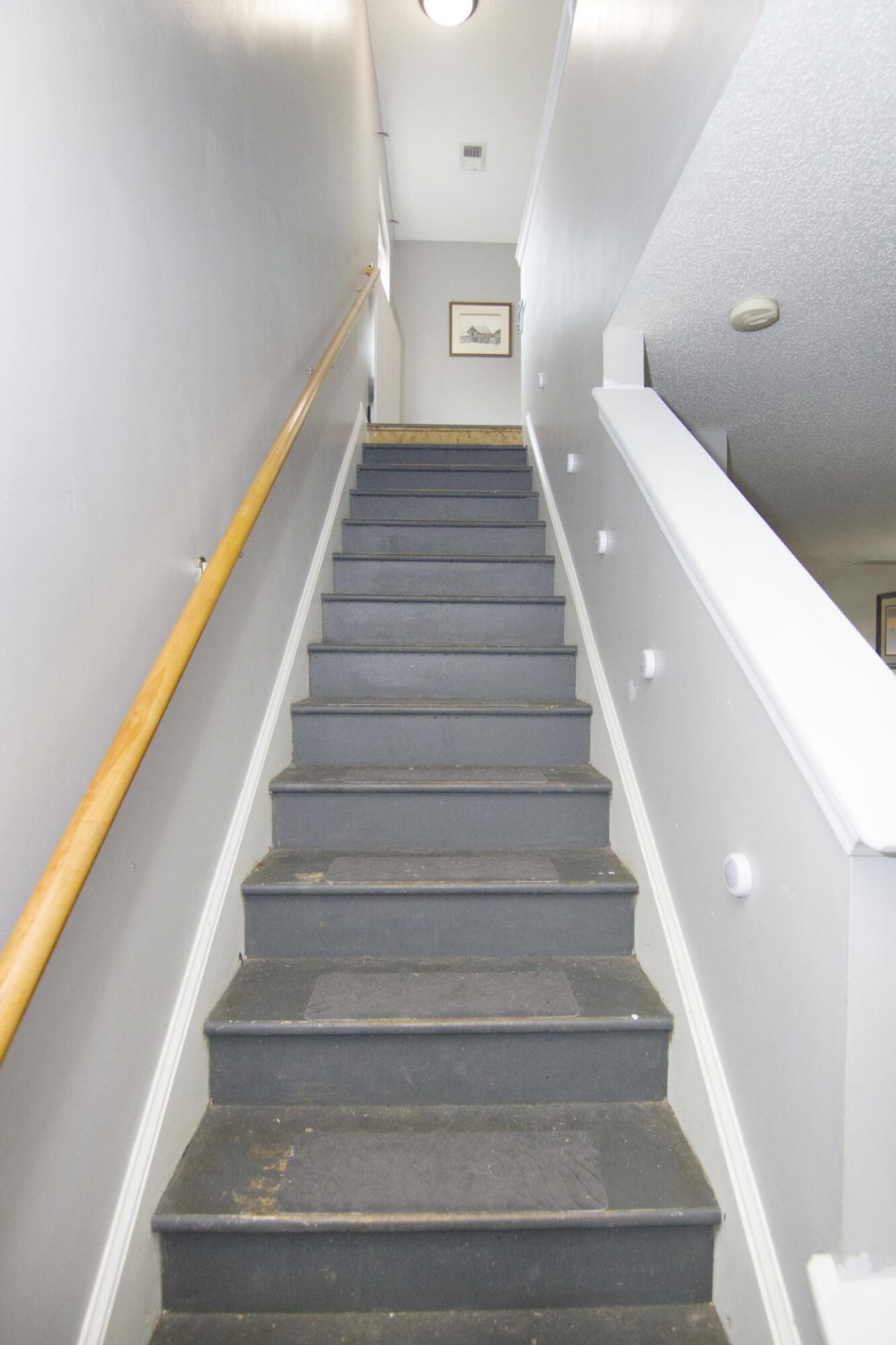 1039 Friartuck Trail Photo 24