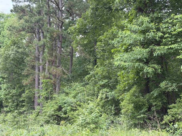 8126 Autumnwood Road , Mabelvale, AR 72103