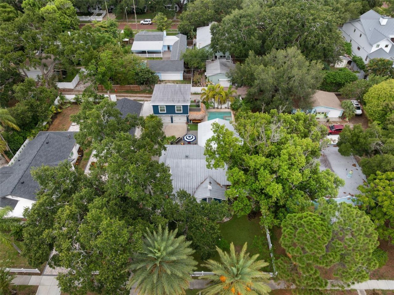 636 Wilkie Street, Dunedin, FL 34698 Photo