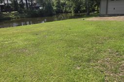 37 Windsor Cove  photo 4