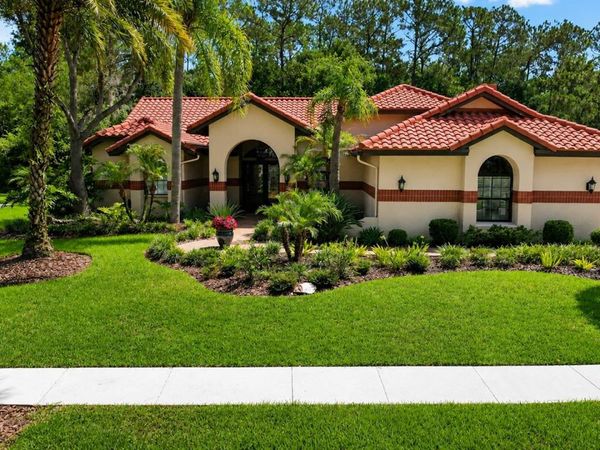 8944 MAGNOLIA CHASE CIRCLE , TAMPA, FL 33647