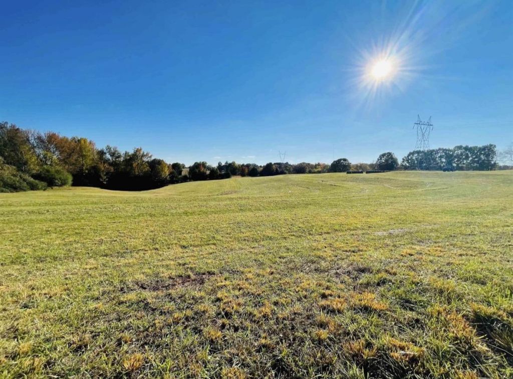 2829 Co Rd 92, Rogersville, AL 35652 Main Photo