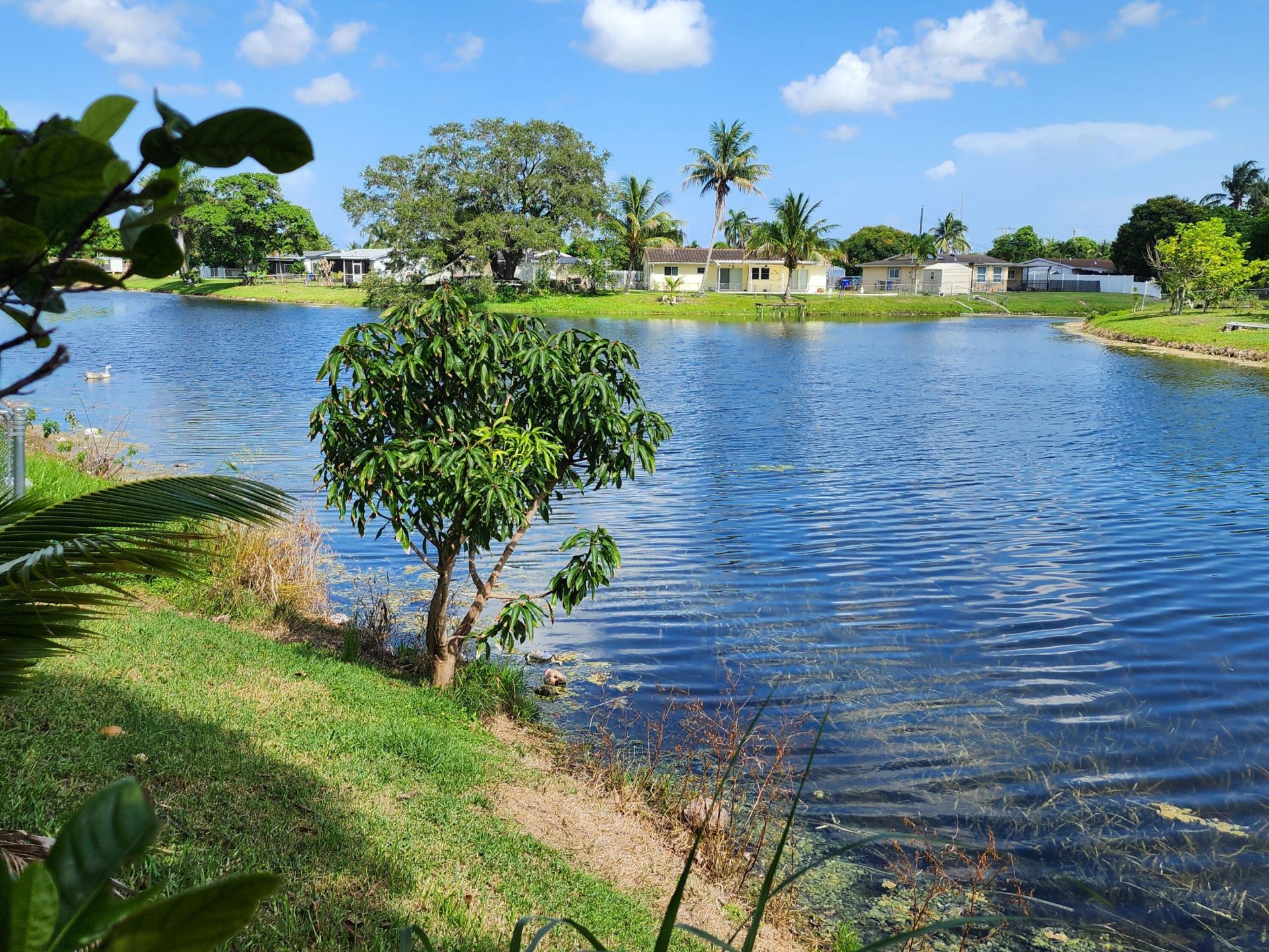 3654 NW 27th Street, Lauderdale Lakes, FL 33311 Photo