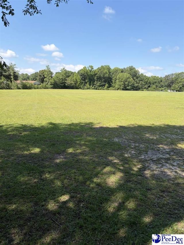448 E Jackson Rd Photo 22
