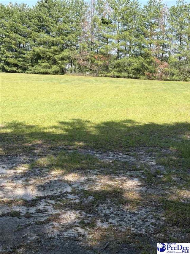 448 E Jackson Rd Photo 23