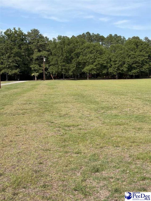 448 E Jackson Rd Photo 24