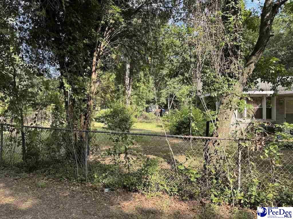 49 Robinson St. Photo 5