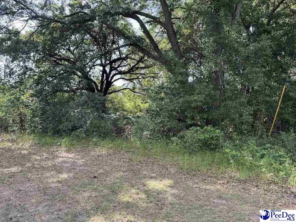 49 Robinson St. Photo 6