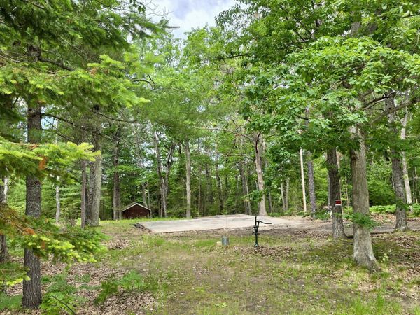 Indian River, MI 49749