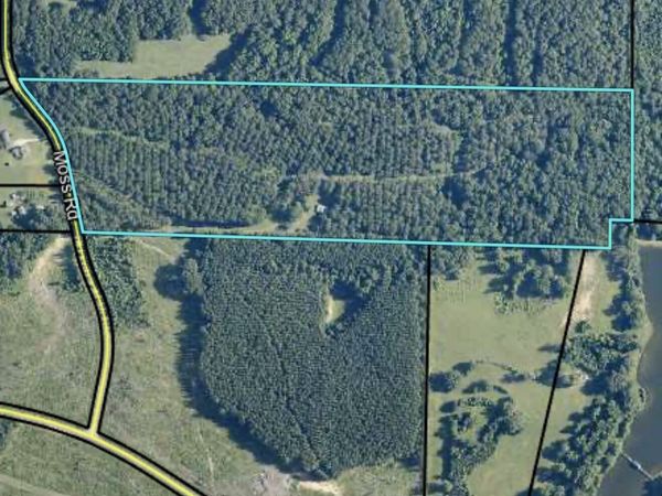 2135 Moss Road, Gay, GA 30218
