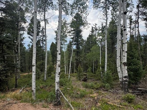 111 Elk Creek Drive, Divide, CO 80814