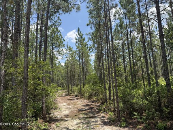 Lot 6 Corbitt Road, Manor, GA 31550