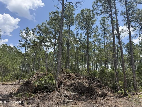 Lot 9 Corbitt Road, Manor, GA 31550