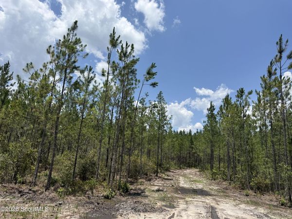 Lot 7 Corbitt Road , Manor, GA 31550